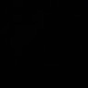 Meet your Posher, Baylee